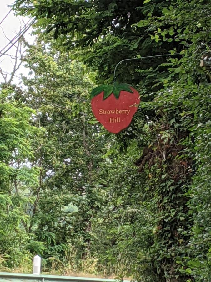 Strawberry Hill Bed & Breakfast Chissey-en-Morvan Ngoại thất bức ảnh